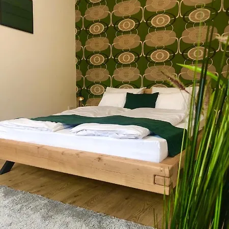 Apartment Boroka Belvaros *