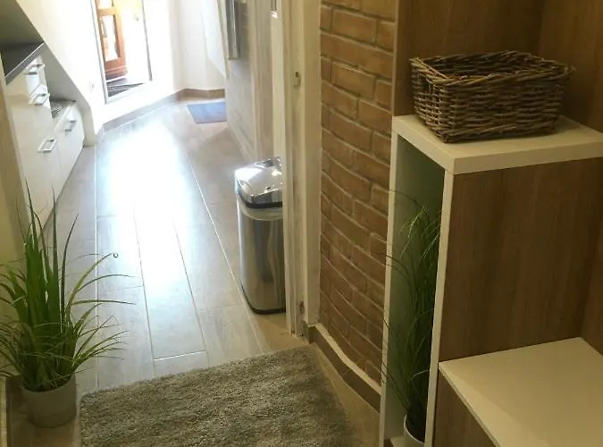 Boroka Belvaros
